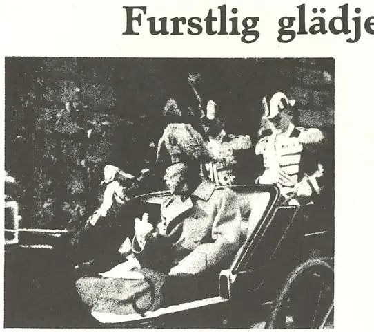 Illustration, sida 495