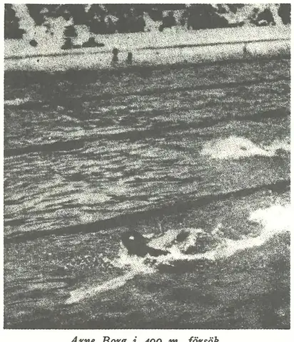 Illustration, sida 296