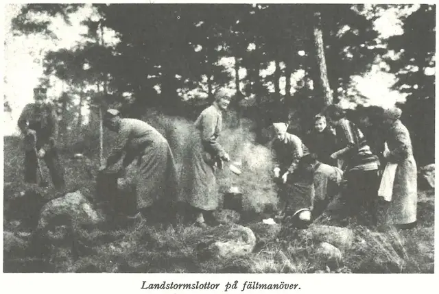 Illustration, sida 310