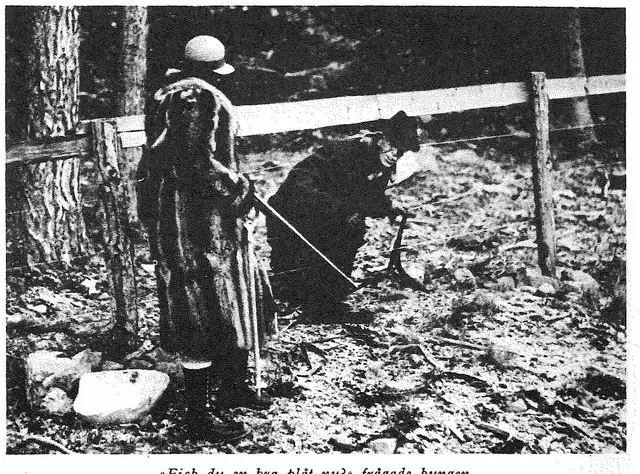 Illustration ur Gustaf V och hans tid. En bokfilm. 1928-1938 (1940), sida 267