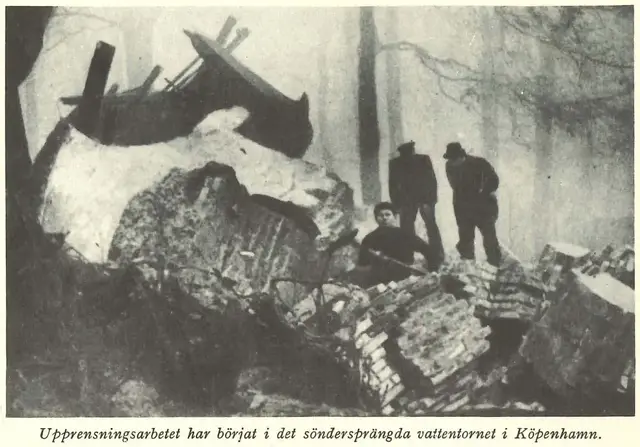Illustration, sida 289