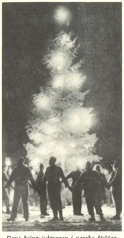 Illustration, sida 347