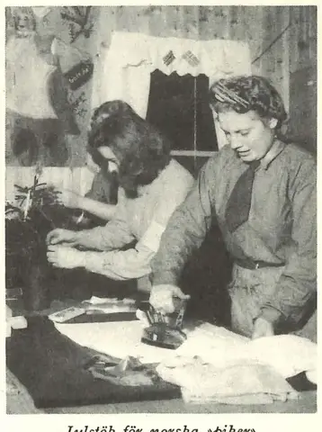 Illustration, sida 347