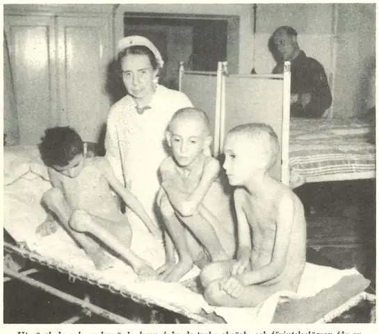 Illustration, sida 364