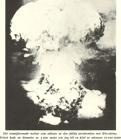 Illustration, sida 384