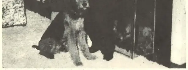 Illustration ur Gustaf V och hans tid. En bokfilm. 1938-1947 (1947), sida 414