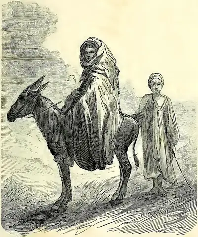 Illustration ur En målares anteckningar. Utdrag ur dagböcker och bref. Del 2. Indien (1872), sida 11