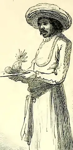Illustration ur En målares anteckningar. Utdrag ur dagböcker och bref. Del 2. Indien (1872), sida 84