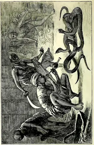 Illustration ur En målares anteckningar. Utdrag ur dagböcker och bref. Del 2. Indien (1872), sida 114