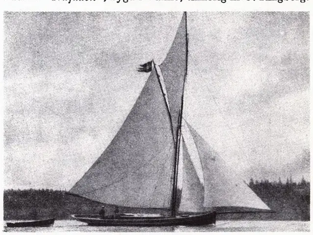 Illustration ur Oscar II och hans tid. En bokfilm (1936), sida 145