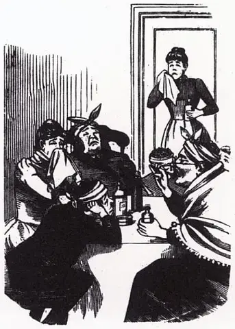 Illustration, sida 255