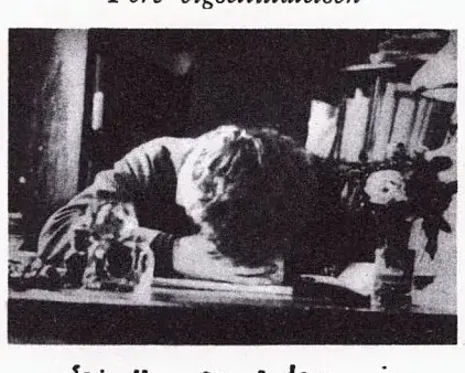 Illustration ur Oscar II och hans tid. En bokfilm (1936), sida 295