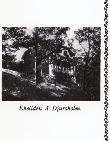 Illustration ur Oscar II och hans tid. En bokfilm (1936), sida 311