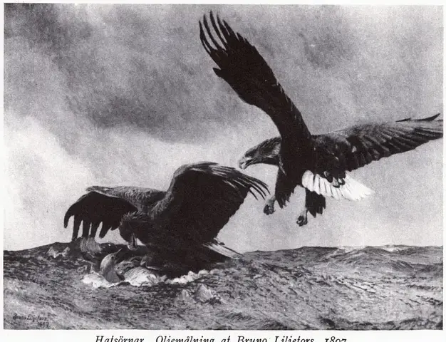 Illustration ur Oscar II och hans tid. En bokfilm (1936), sida 351