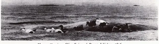 Illustration ur Oscar II och hans tid. En bokfilm (1936), sida 351