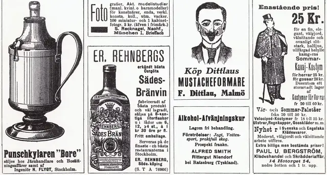 Illustration ur Oscar II och hans tid. En bokfilm (1936), sida 389