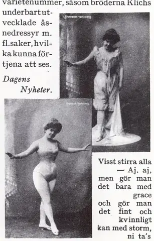 Illustration ur Oscar II och hans tid. En bokfilm (1936), sida 394