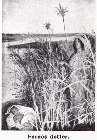 Illustration ur Oscar II och hans tid. En bokfilm (1936), sida 453