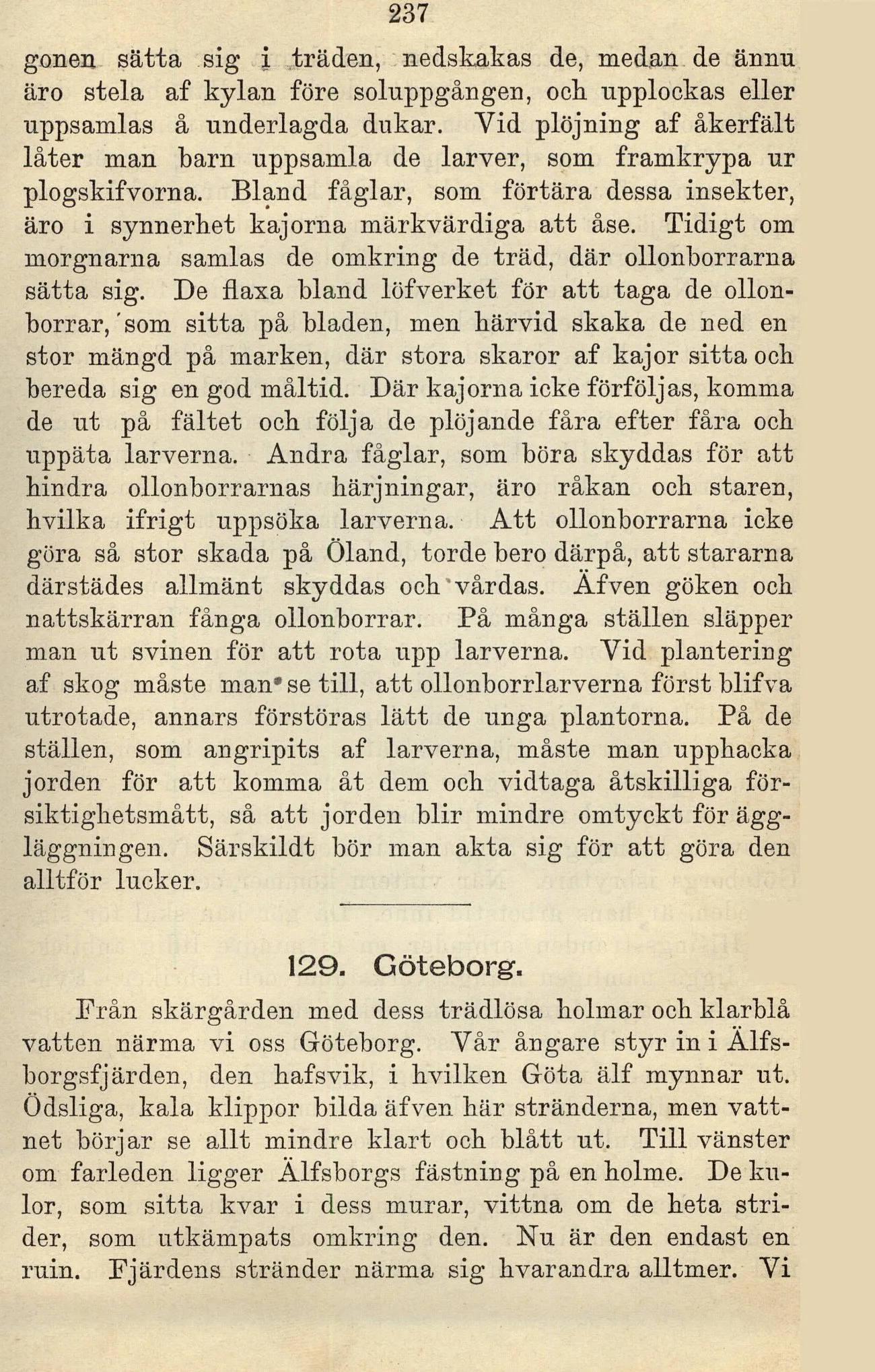 Skannad sida 245