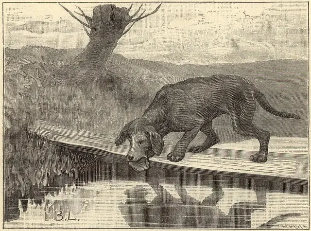 Illustration, sida 6