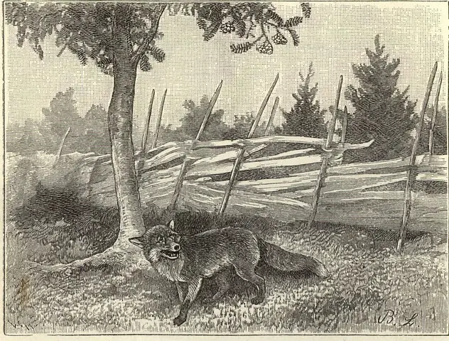 Illustration, sida 24