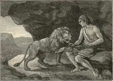 Illustration, sida 29