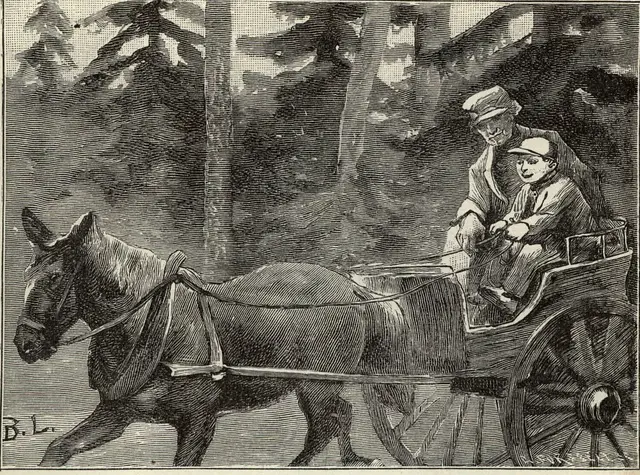 Illustration, sida 125
