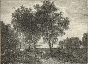 Illustration, sida 144