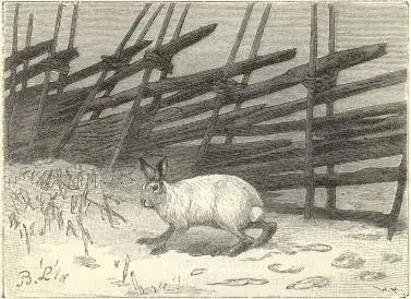Illustration, sida 180