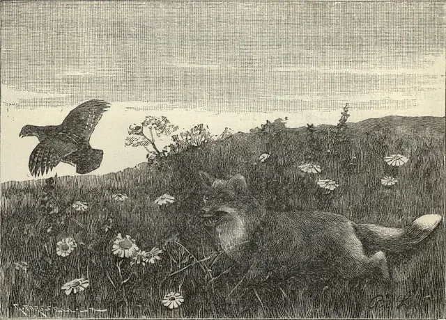 Illustration ur Läsebok för folkskolan: Afdelning 1 och 2 (1901), sida 187
