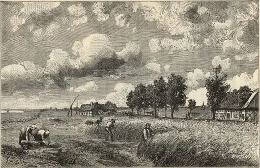 Illustration, sida 215
