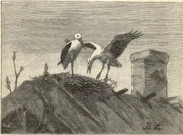Illustration ur Läsebok för folkskolan: Afdelning 1 och 2 (1901), sida 218