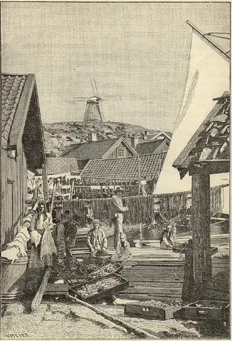 Illustration, sida 253