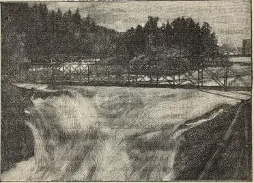 Illustration, sida 255