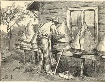 Illustration, sida 262