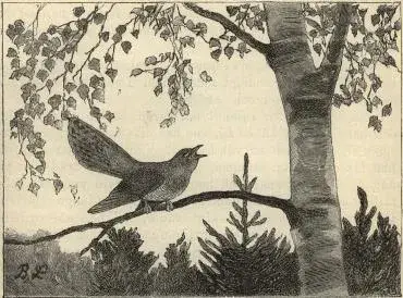 Illustration, sida 281