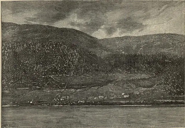 Illustration, sida 331