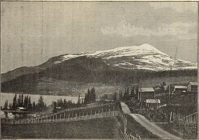 Illustration, sida 332
