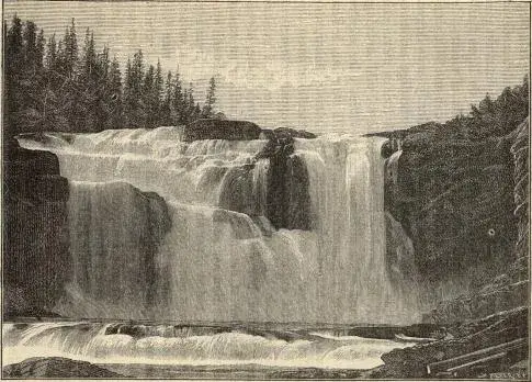 Illustration, sida 334