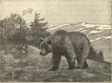 Illustration, sida 338