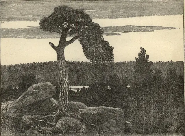 Illustration, sida 383