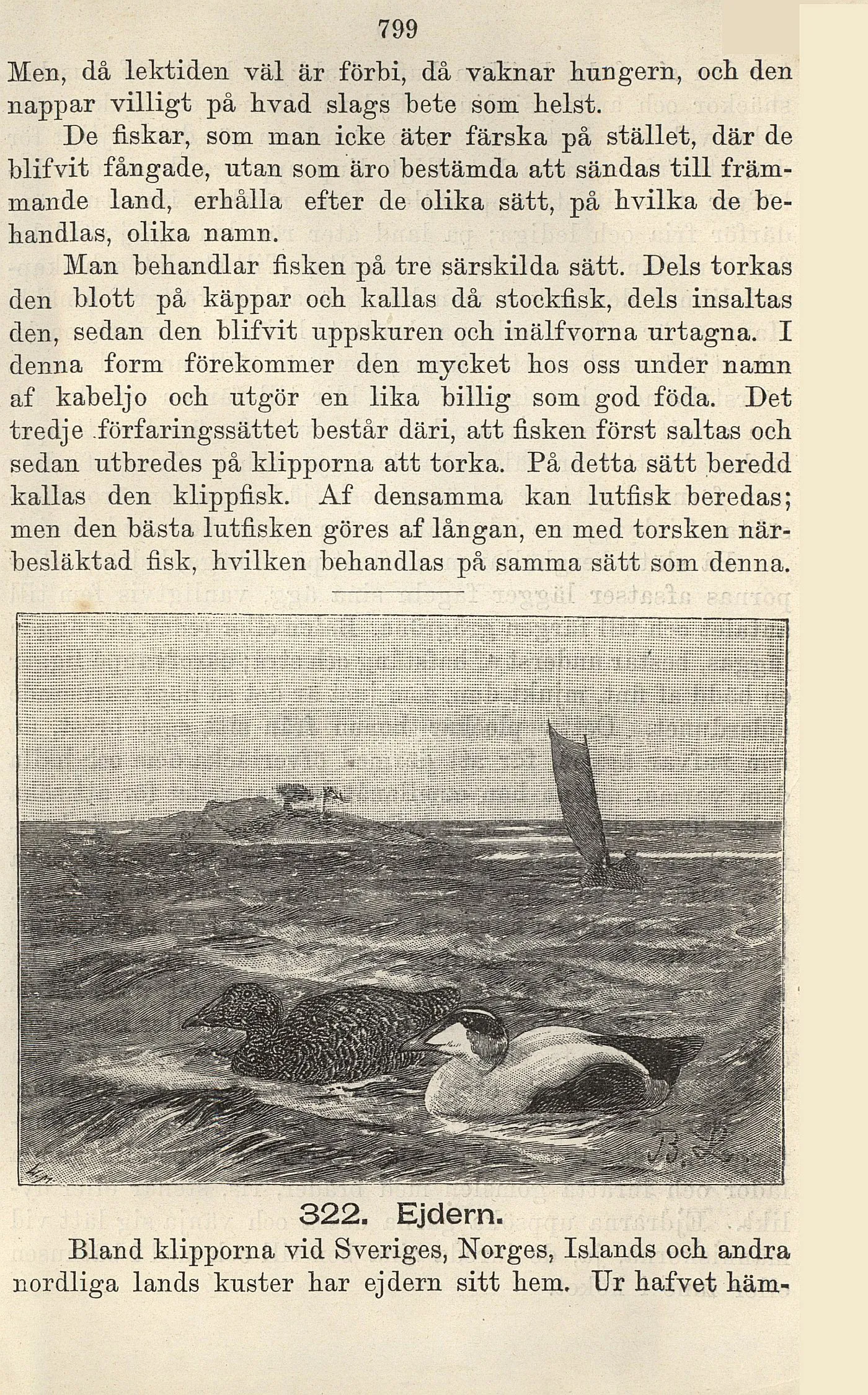 Skannad sida 423