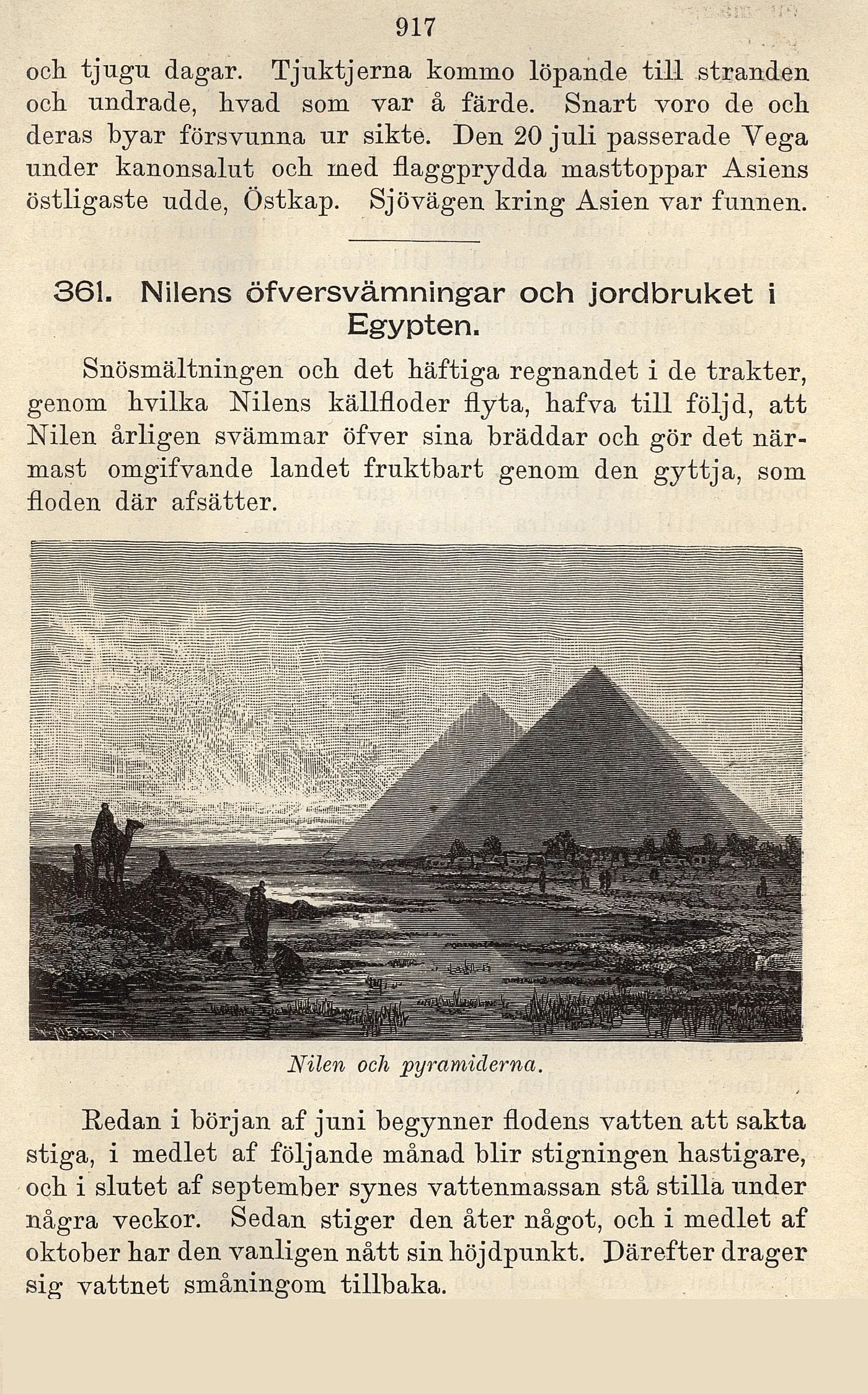 Skannad sida 541