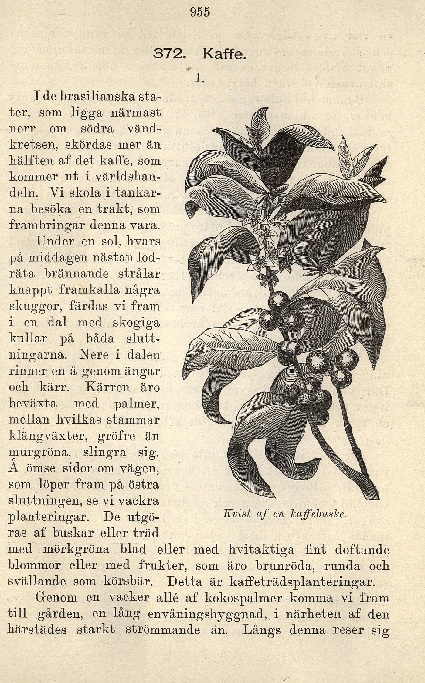 Skannad sida 579
