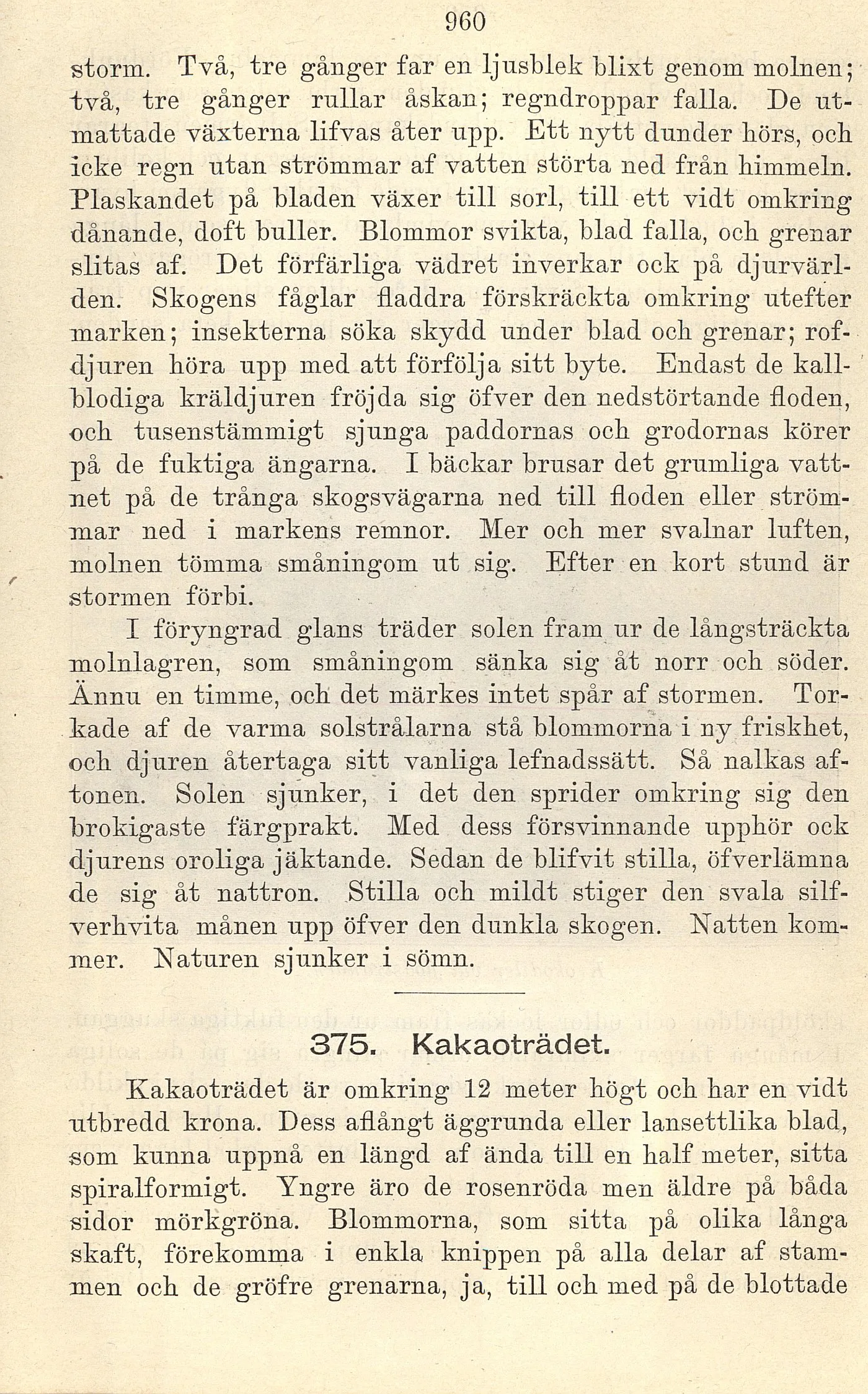 Skannad sida 584