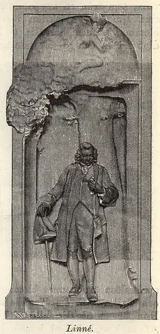 Illustration, sida 651