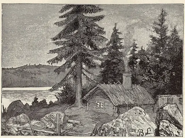 Illustration, sida 741
