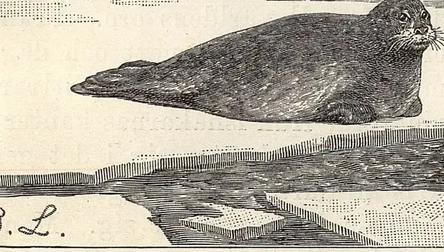 Illustration ur Läsebok för folkskolan: Afdelning 3, 4, 5 och 6 (1903), sida 813