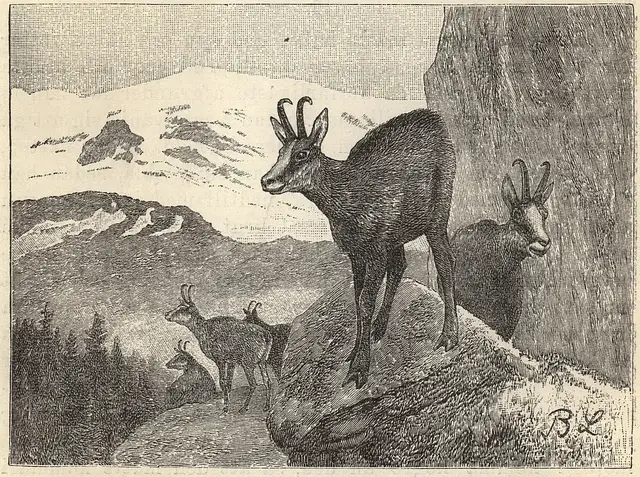 Illustration ur Läsebok för folkskolan: Afdelning 3, 4, 5 och 6 (1903), sida 859
