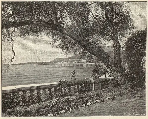 Illustration ur Läsebok för folkskolan: Afdelning 3, 4, 5 och 6 (1903), sida 870